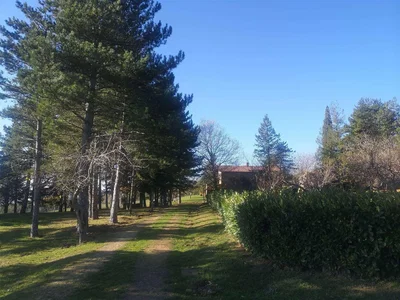 Dnevni boravak