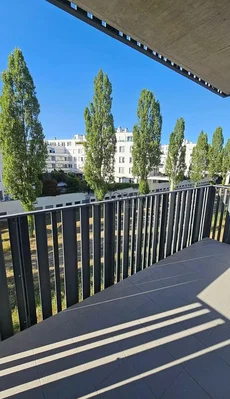 Ostatní
