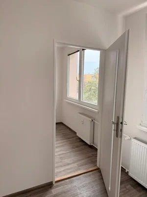 Ostatní