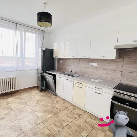 Ostatní