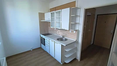 Ostatní