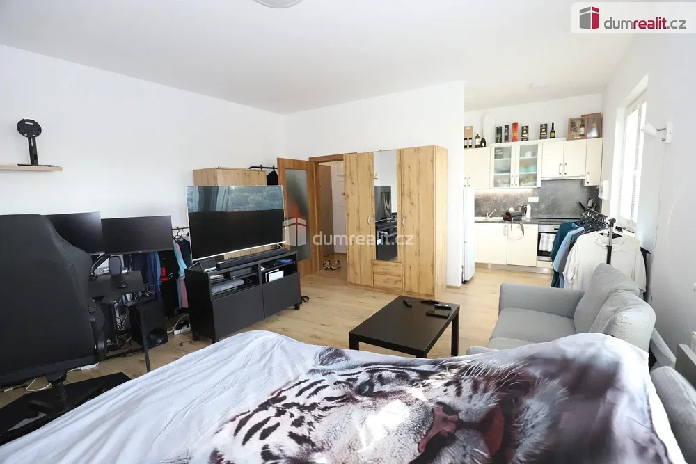 Other