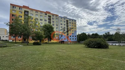 Diğer