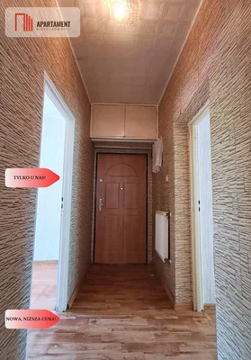 Ostatní