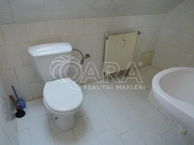 Ostatní