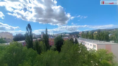 Ostatní
