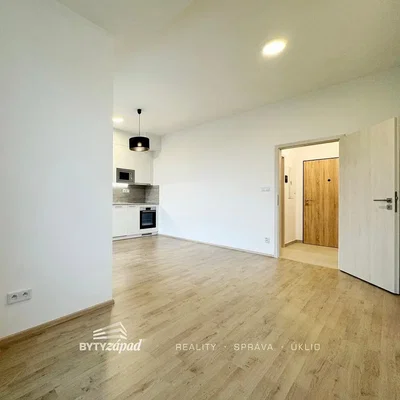 أخرى
