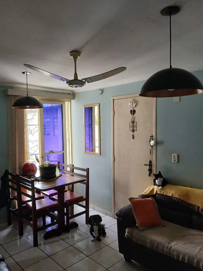 Ostatní