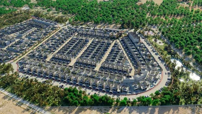 Diğer