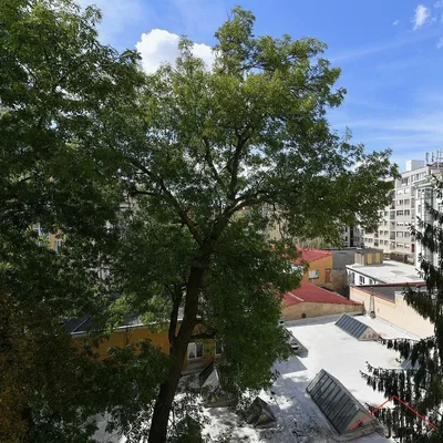Άλλο
