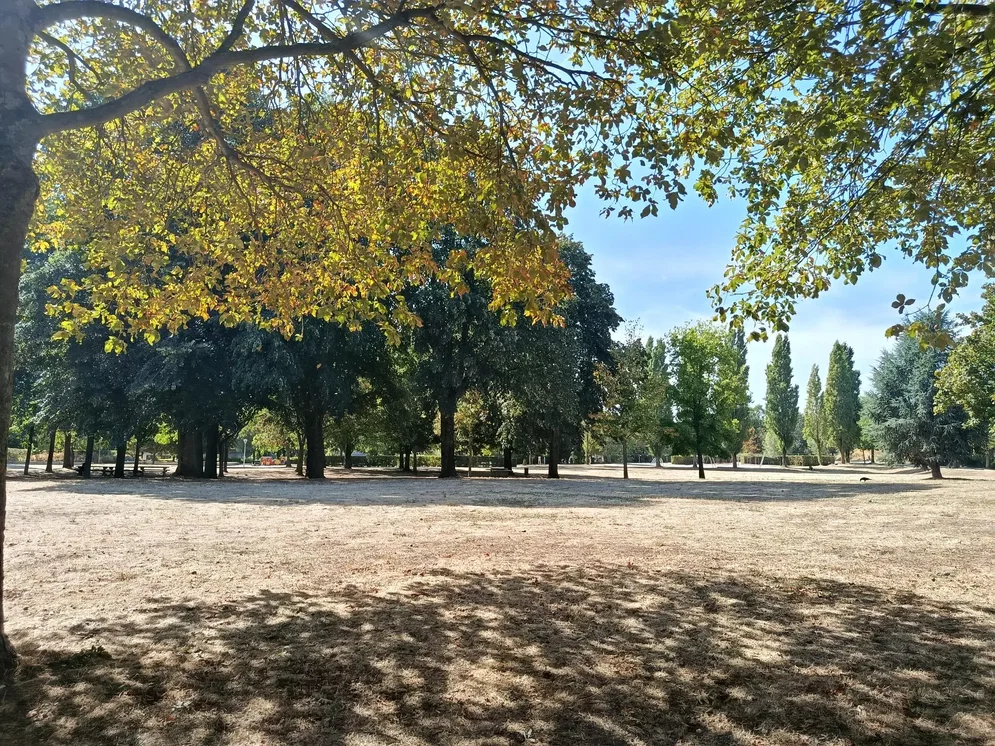 Soggiorno