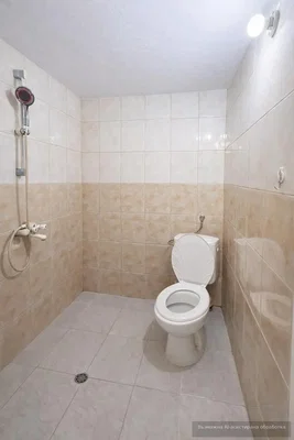 Хол