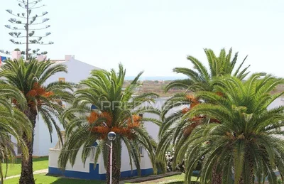 Ostalo