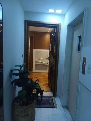 Diğer