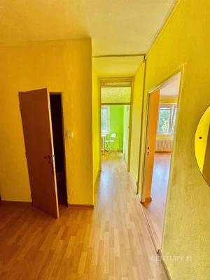 Ostatní