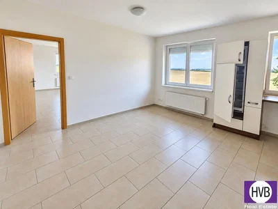 Ostatní