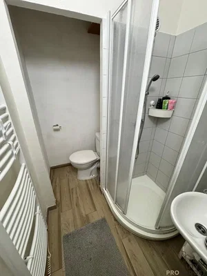 Ostatní