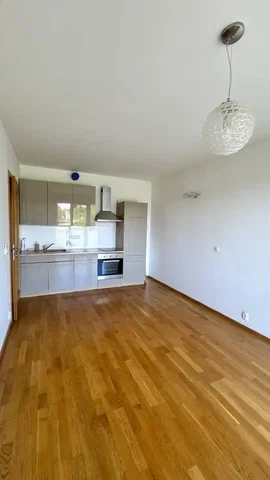 Ostatní