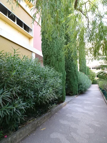 Soggiorno