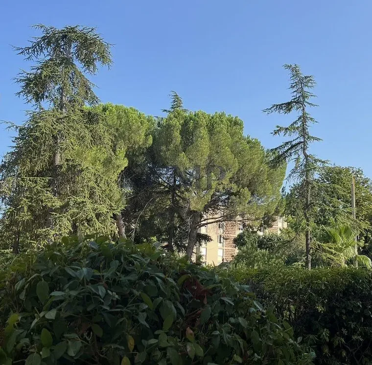 Soggiorno