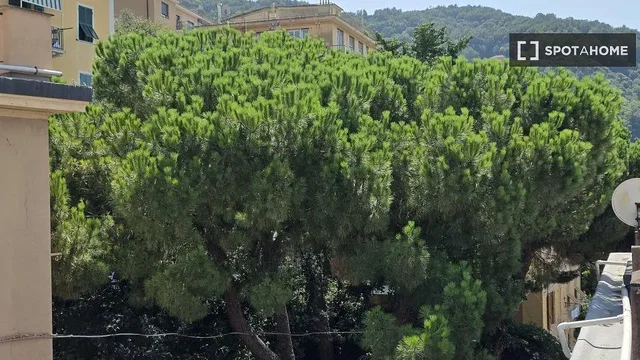 Soggiorno