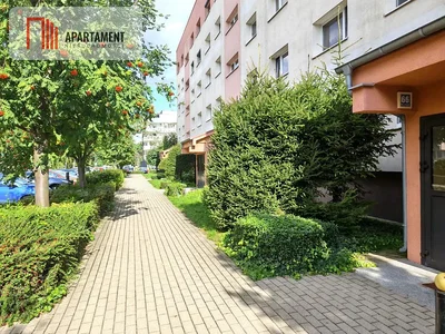 Ostatní