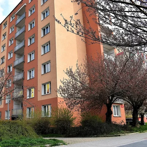 Ostatní