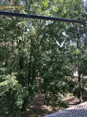 Άλλο