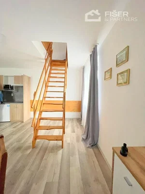 Ostatní