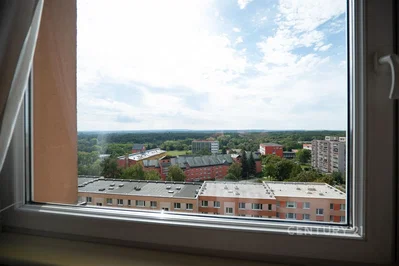 Ostatní