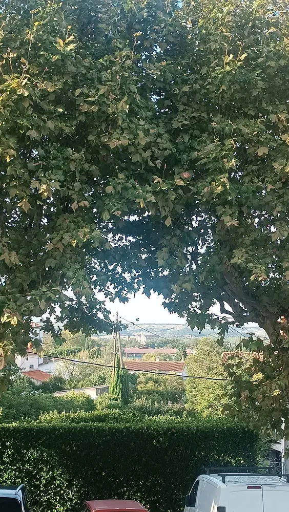 Хол