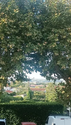 Хол