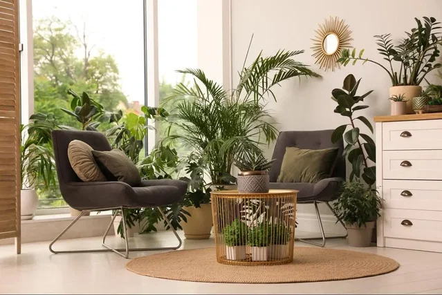 Salón