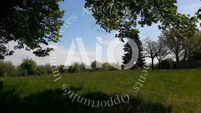 Altro