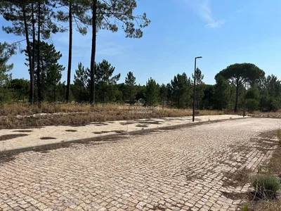 Outro