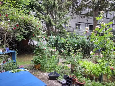 Σαλόνι