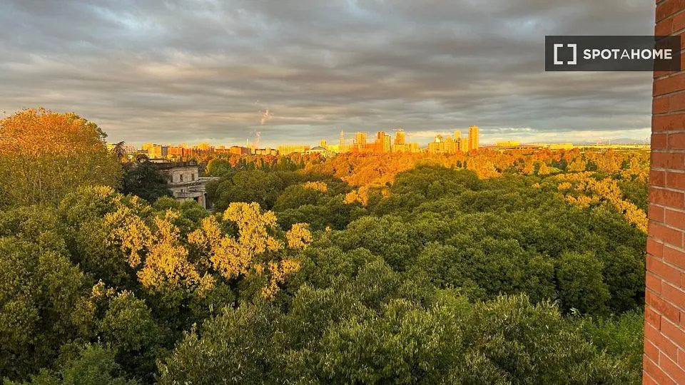 غرفة معيشة