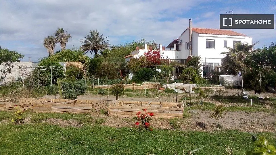 Salón