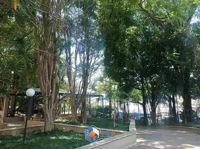 Diğer