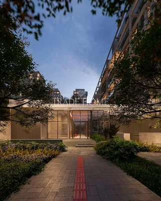 أخرى