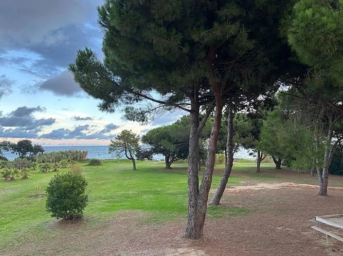 Άλλο