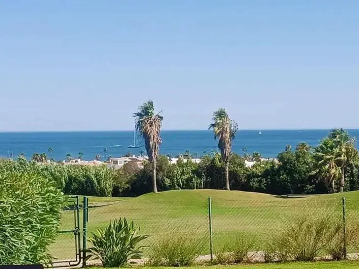 Diğer