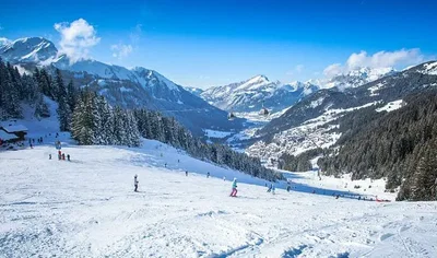 Ostalo