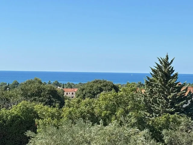Ostatné