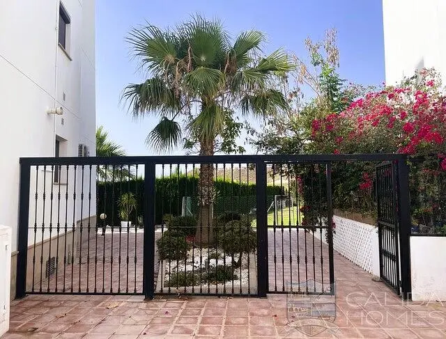 أخرى