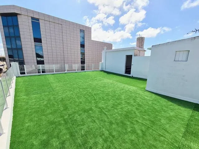 Diğer