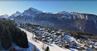 Ostalo