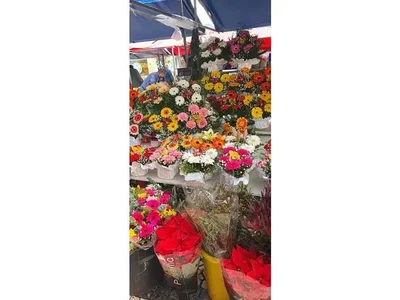 Diğer