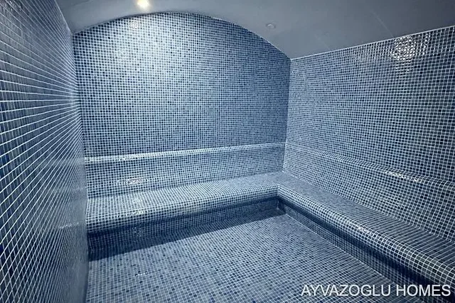 أخرى