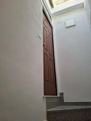 Diğer